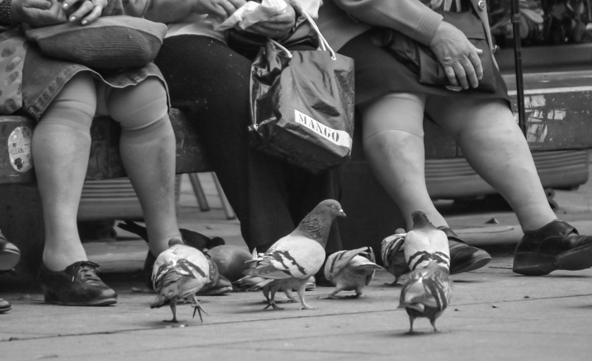 foto: [20060503PV6518A]